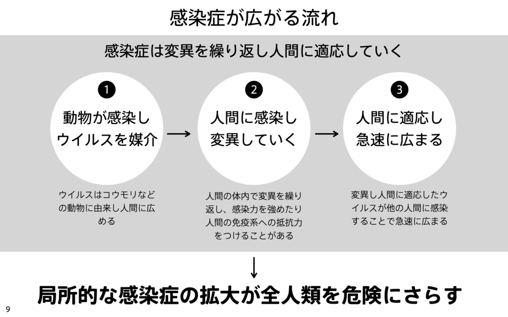 感染症が広がる流れを3段階で示した図。1、動物が感染しウイルスを媒介する。2、人間に感染し、体内で変異を繰り返して感染力を強める。3、人間に適応し急速に広まる。局所的な拡大が全人類を危険にさらす。
