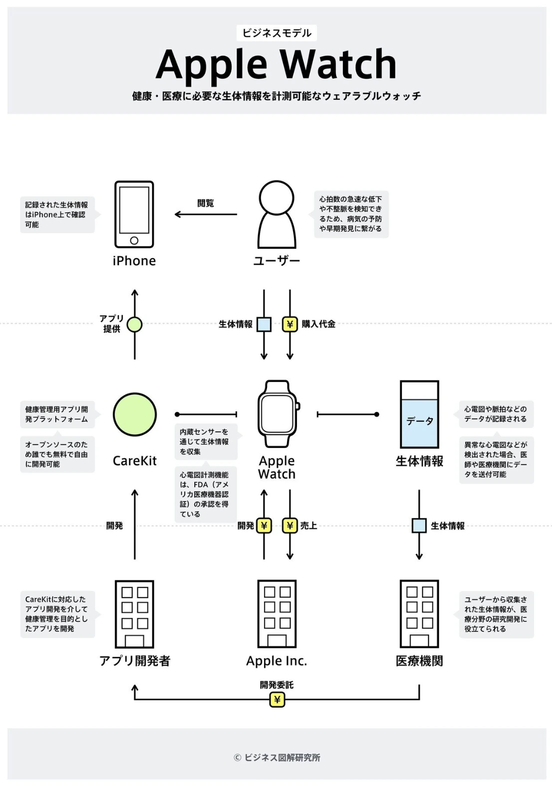 Apple Watch のビジネスモデル図解。内蔵センサーが心電図や脈拍を集め、ユーザーは iPhone で確認できる。異常が検出されれば医療機関にデータを送れて、集まった生体情報は医療分野の研究開発にも役立つ。アプリ開発者は無料のプラットフォーム CareKit で健康管理アプリを作る。